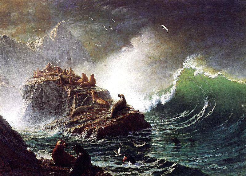 Albert Bierstadt Seals on the Rocks, Farallon Islands oil painting image